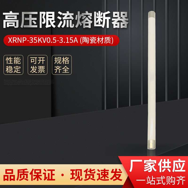 XRNP6-35~40.5KV/0.5A 1A 2A 3A 5A 高压熔断器 安装尺寸40*440mm