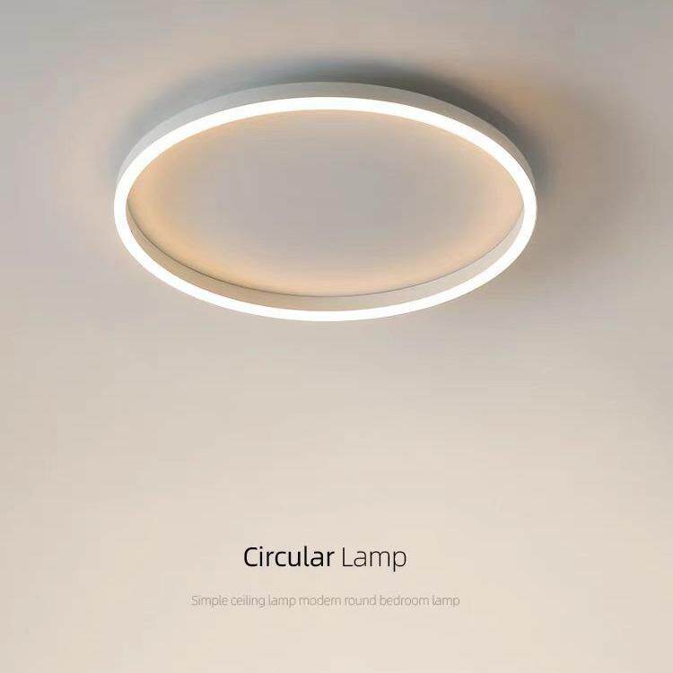 简约风格卧室灯北欧跨境现代小客厅灯led创意圆形书房主卧吸顶灯