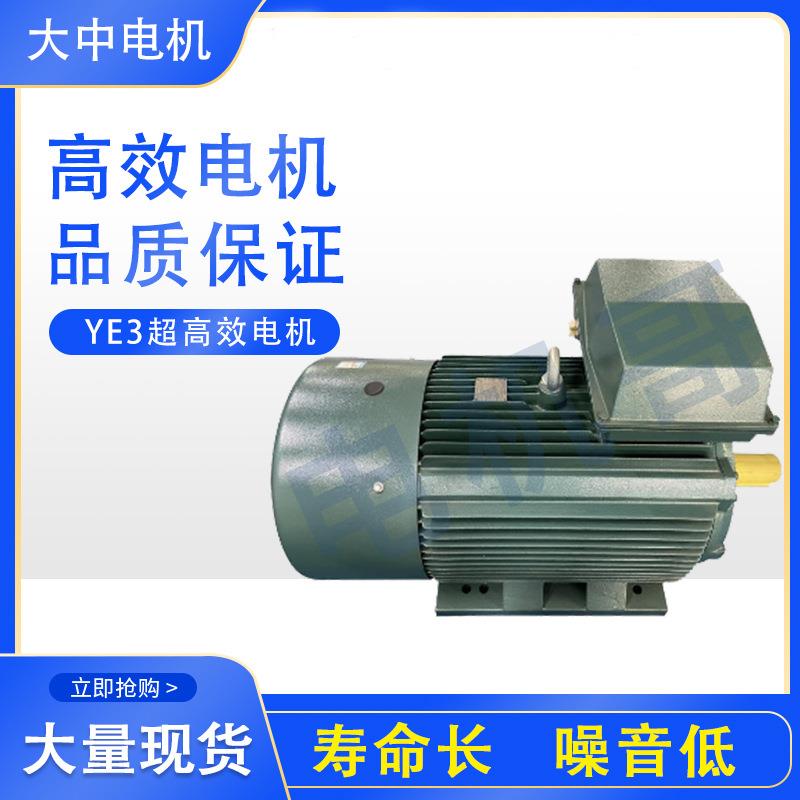 江苏大中电机YE3超三相异步电动机-厂家直销国标电机机械设备用电