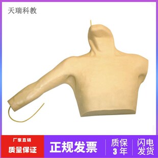 中心静脉穿刺插管模型 外周穿刺PCICC置管锁骨下颈内静脉穿刺模型