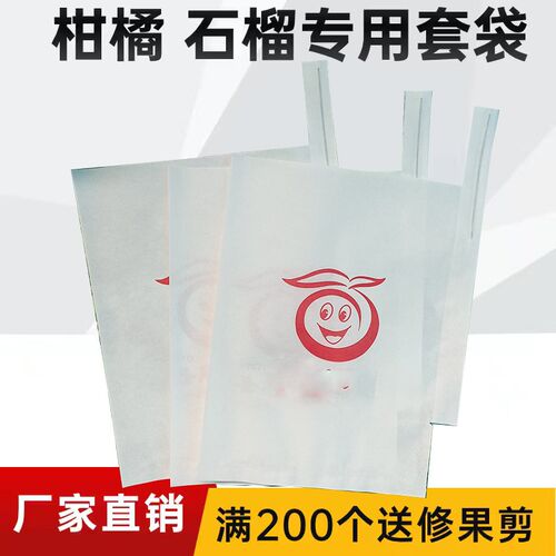 柑橘果套袋e橘子桔子橙子水果加厚防虫袋推荐耙耙柑脐橙专用袋 - 封面