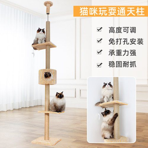 小户型顶天立地通天柱p猫咪爬架树高猫架实木 猫窝猫树一体猫抓柱