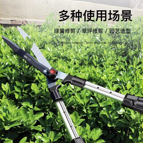 修枝剪园艺剪家用草坪修剪花草剪修剪树枝绿篱剪粗枝园林大剪刀