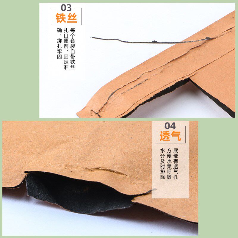 桃子专用套袋水蜜桃冬桃蟠桃黄桃水果纸袋防鸟虫防水黄金奈套袋子