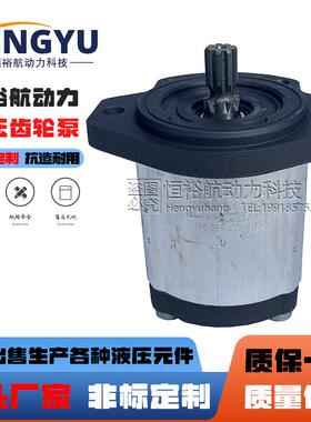 力士乐油泵REXROTH齿轮泵0510725102液压泵0510325006 AZPF AZPB