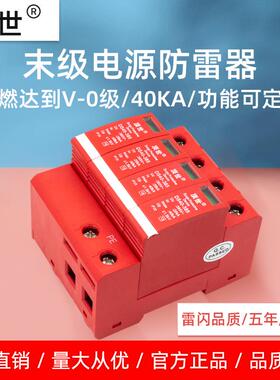 顶世浪涌保护器电气通讯40KA末级电源防雷器电涌保护器避雷器4P