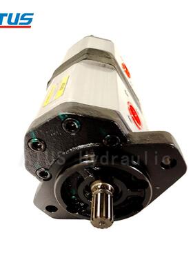 180HP - BX6.180 AZPN-12-036LDCXXPB-S0270 液压齿轮泵 高压油泵