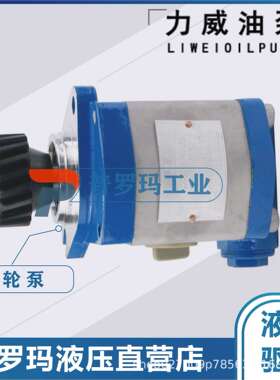 合肥力威液压泵3407020-551-JH2E汽车动力泵 转向泵QC12/10-4DF3B