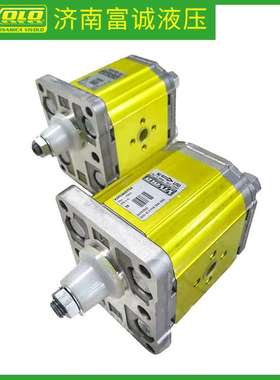 现货VIVOLO维沃高压齿轮泵X2P4302EBBA液压油泵意大利原装齿轮泵