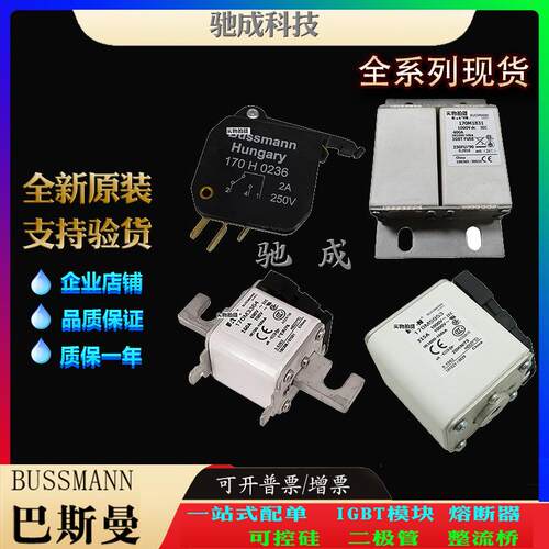 巴斯曼170M3540 170M3541 170M3558 加工制作量大价优 低压熔断器