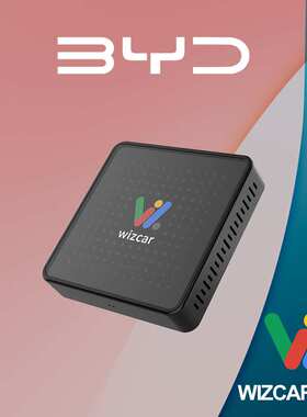 BYD SeaLion Seagull Dolphin WIZCAR E01 Google Waze Spotify