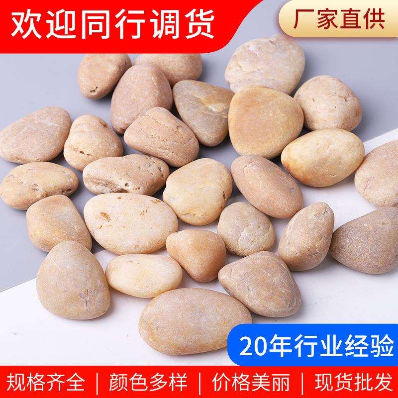 黄色普抛鹅卵石 鱼缸造景庭院景观黄色抛光雨花石园林铺路石头