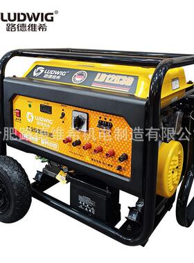 LD12K3D 工业级汽油发电机组220V/380V小型家用户外摆摊露营电源