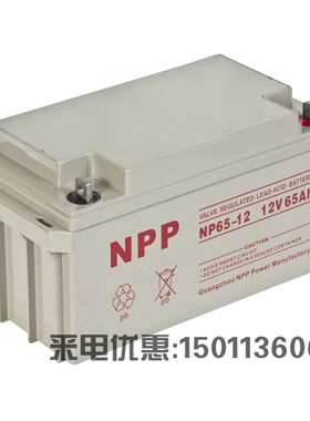 NPP耐普蓄电池NPG12-65 12V65AH 机房UPS通讯太阳能路灯ups eps