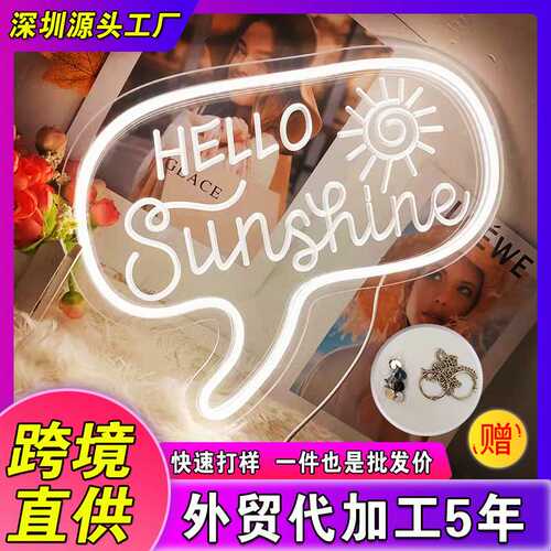 跨境sunshine霓虹灯led创意造型灯生日派对装饰氛围房间小夜灯usb