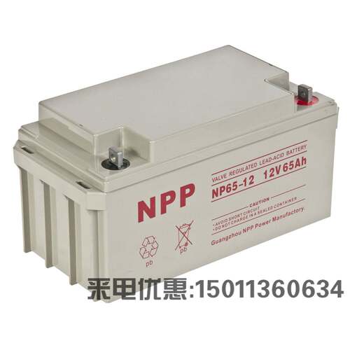 NPP耐普蓄电池NPG12-65 12V65AH 机房UPS通讯太阳能路灯ups eps