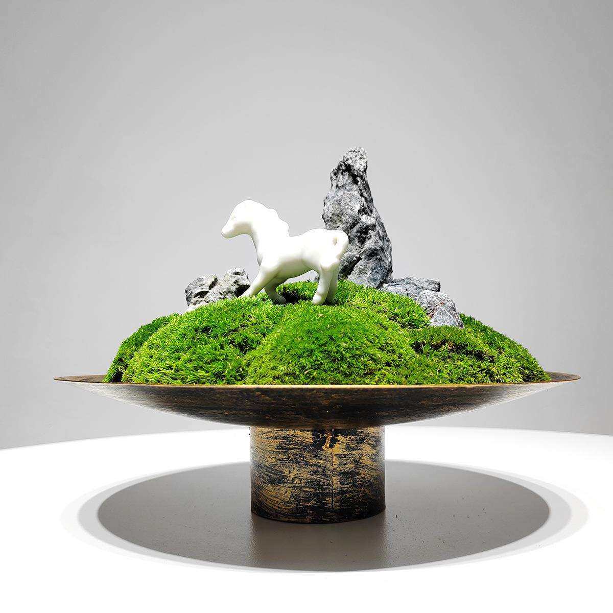 新中式日式永生苔藓盆景样板间茶几售楼部洽谈桌面酒店吧台装饰品