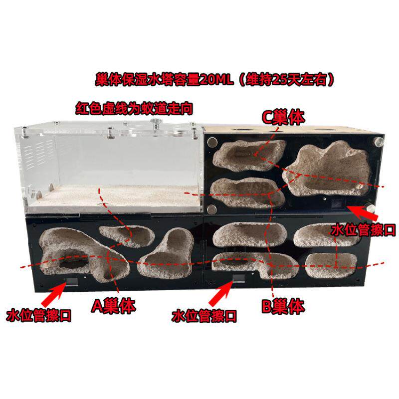 混凝土蚁巢自动温控保温无限加叠款蚂蚁工坊城堡沙巢宠物蚂蚁