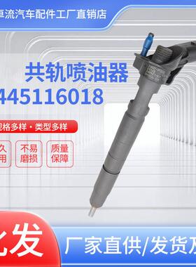 共轨喷油器0445116018 338002F000总成柴油喷油嘴