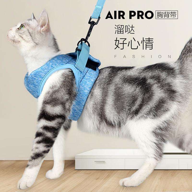猫咪牵引绳栓溜猫绳猫胸背带背心式外出防挣脱专用栓小猫绳子猫链