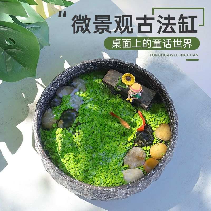 古法养鱼缸童话世界微景观创意装饰桌面鱼缸生态水培绿植造景全套