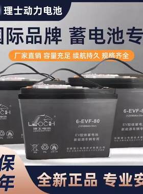 理士雷神蓄电池6-EVF-75 12V100AH新能源动力电瓶6v8V150安时原装