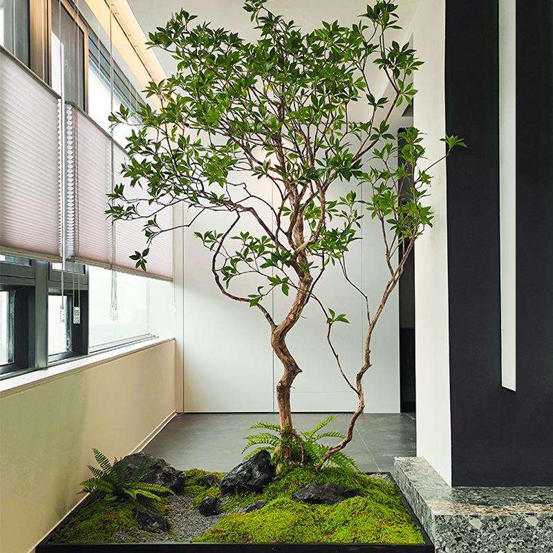 高端马醉木橱窗仿真植物室内榕树景观装饰树大型假树室内绿植造景