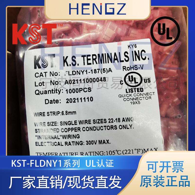 健和兴KST/FLDNY1-250/FLDNY2-187(8)A/全绝缘尼龙带铜套起型端子