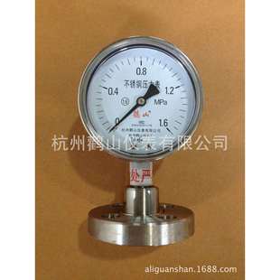 隔膜压力表 法兰连接隔膜压力表 DN25 全不锈钢隔膜表 Y100BF