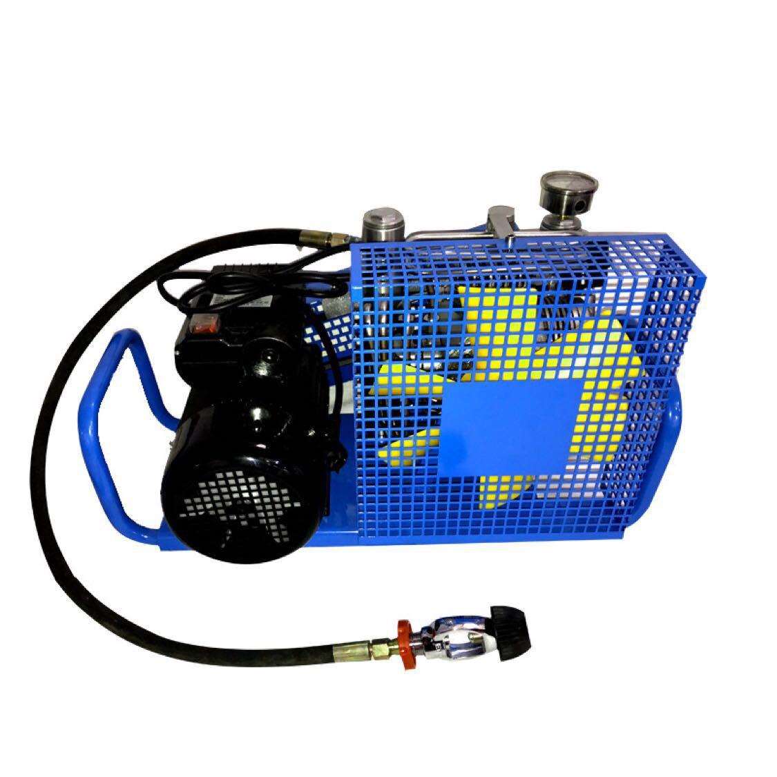 空气呼吸器潜水气瓶充气填充泵打气机30Mpa220V380V压缩机工业级