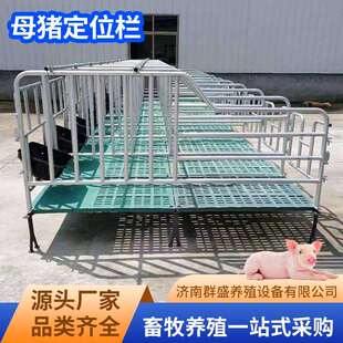 母猪定位栏限位栏猪圈围栏复合漏粪板母猪产床养猪用设备保育