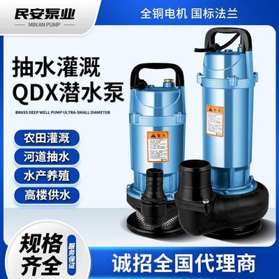 潜水泵家用小型220v便携式农用灌溉浇菜清水泵高扬程大流量抽水泵