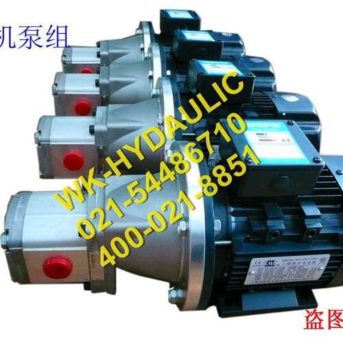 厂家直销0WK-Hdraulic压WKP1B列0y-M系电机齿轮泵组,MAGA-10227ba