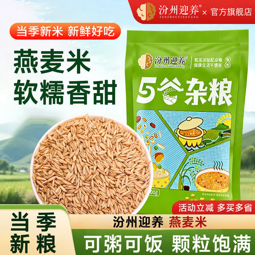 新货农家自种全胚芽燕麦米