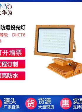 防爆灯50W70W100W150W200W300W免维护防爆灯防爆平台灯