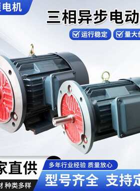 三相异步电动机 YE3系列Y2 纯铜 30kw-4 YE2YE3-200L-4 马达厂家