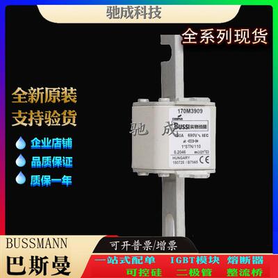 巴斯曼170M3902 170M3903 170M3904 厂价直销优价供应 快速保险丝