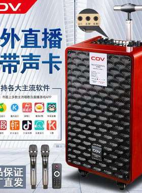 COV三分频直播声卡音响一体机手提户外拉杆广场舞重低音家用K歌