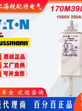 170M3988快速熔断器 1000V 250A 巴斯曼BUSSMANN快速熔断器