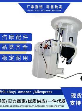 0580202016 8K0919051G 8K0 919 051G适用于奥迪A4燃油泵总成