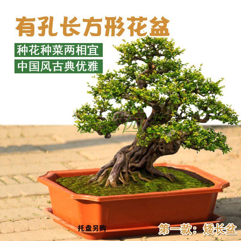 加厚长方形塑料花盆长条花卉庭院地面桌面种菜多肉古典园艺盆景盆