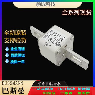 巴斯曼170M4616 170M4617 170M4618 厂家供货质优价廉 低压熔断器