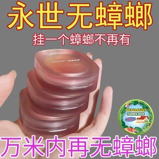 家用厨房蟑螂克星防蟑挂件一楼道强力驱.赶灭蟑香 蟑螂一窝端