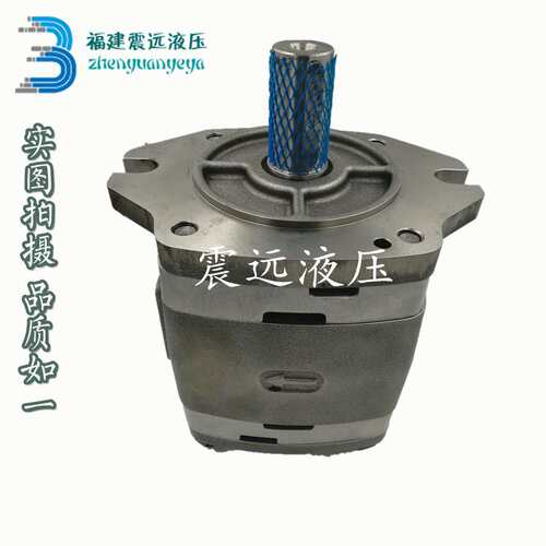 VOITH福伊特齿轮泵IPV3-3.5 伺服电机专用油泵