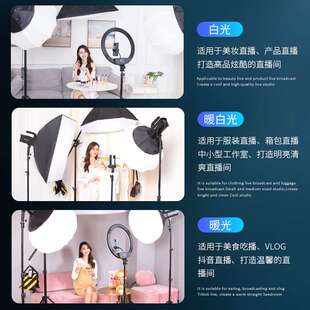 摄影200W大功率常亮灯 工作室拍照直播间补光灯lED双色温柔光灯箱