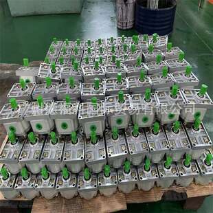 B100Y 摆线齿轮油泵BB B80Y B125Y B63Y