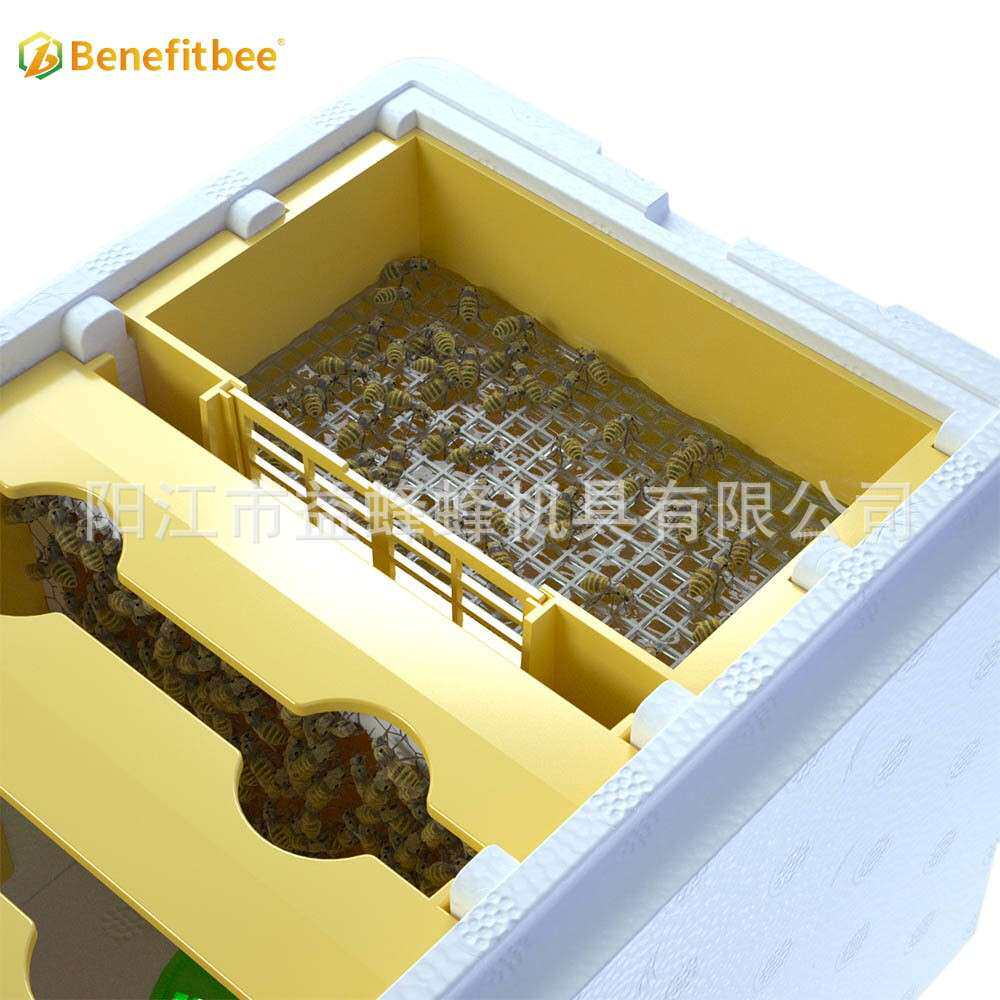 跨境电商爆款 蜂王迷你交尾箱中蜂意蜂泡沫育王箱培育箱 蜂箱