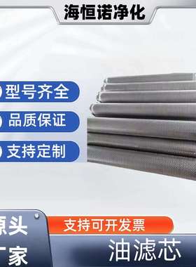 保护滤芯 HC8314FKP39H 玻璃纤维滤芯SX-166*810-IR 循环滤芯