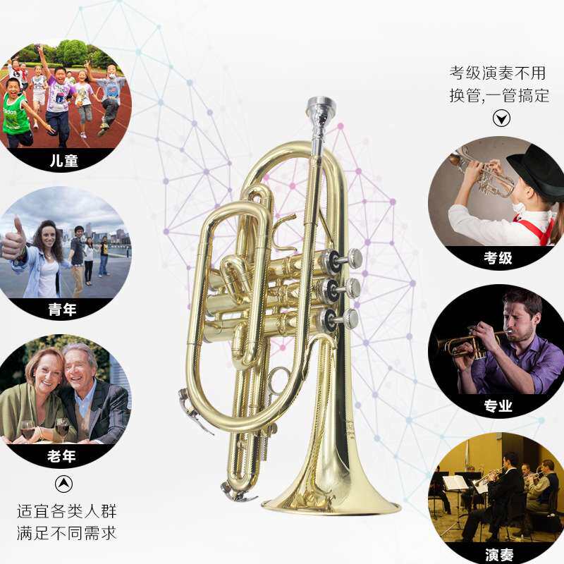 bB调 降B调短号小号 铜管乐器 专业演奏级短号西洋管乐器