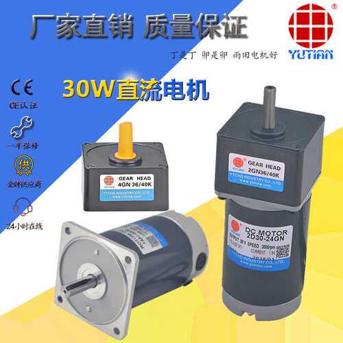 30W直流电机,24V永磁直流马达,游乐设备专用电机2D30-12GN-30S